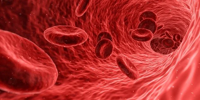 Anemia causes, symptoms and treatment
